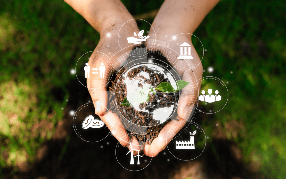 From the soil up. Soil health. Holding soil.